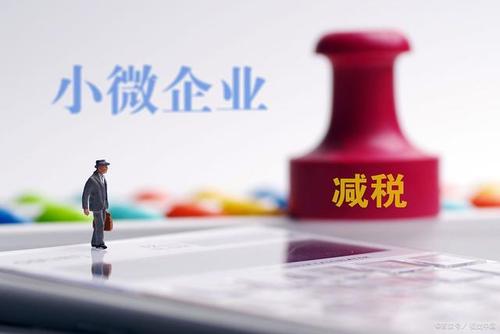 至年底，山東免除個(gè)體工商戶(hù)和小微企業(yè)免一切稅費